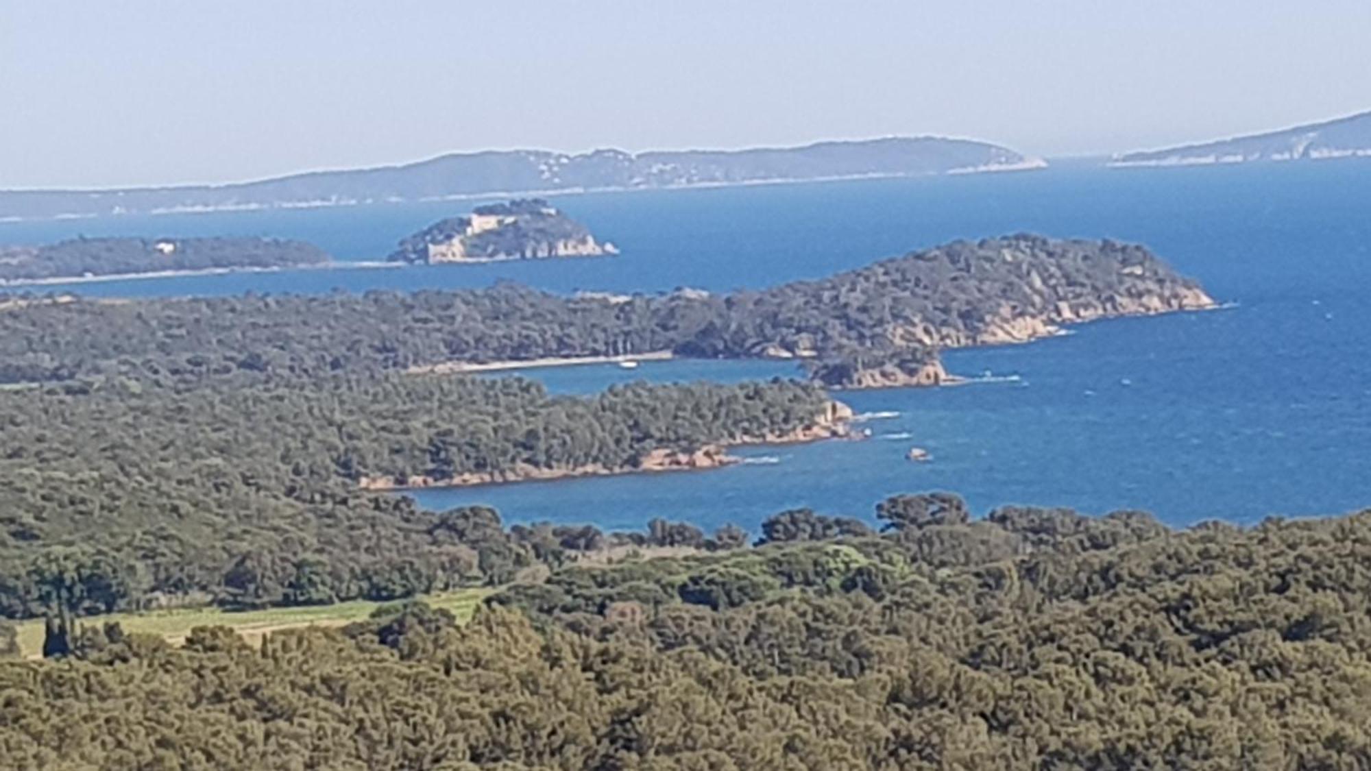 شقة Rez De Jardin T3 Recent Et Calme Au Nouvelles Terres A La Londe Les Maures المظهر الخارجي الصورة
