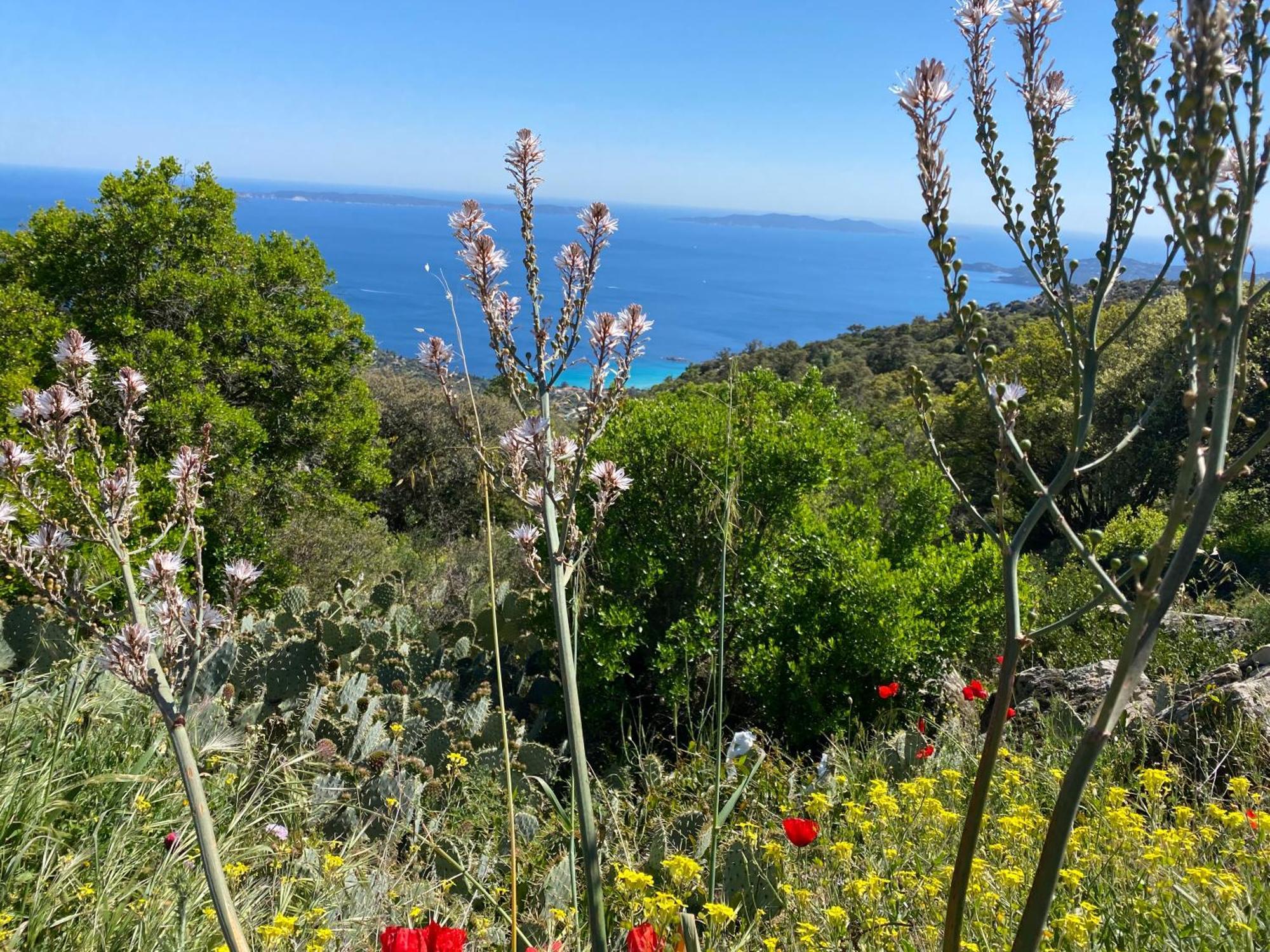 شقة Rez De Jardin T3 Recent Et Calme Au Nouvelles Terres A La Londe Les Maures المظهر الخارجي الصورة